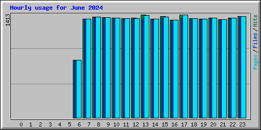 Hourly usage for June 2024