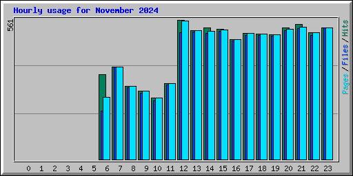 Hourly usage for November 2024