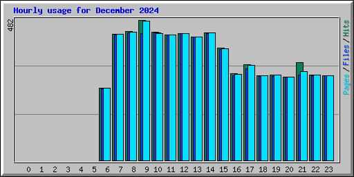 Hourly usage for December 2024