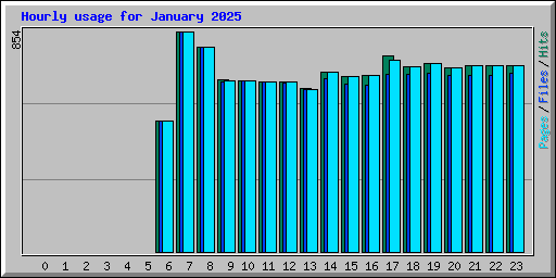 Hourly usage for January 2025