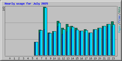 Hourly usage for July 2025
