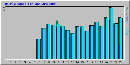 Hourly usage for January 2026