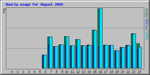 Hourly usage for August 2026